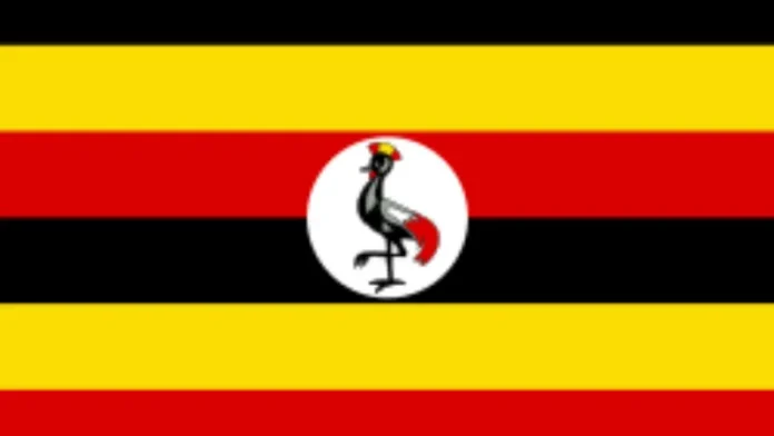 Uganda Eyes Global Funding to Expand Its Startup Sector