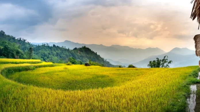 Village Capital Invests $500,000 in African Climate Adaptation Startups